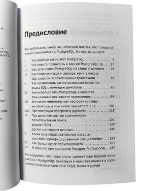 Postgres. Первое знакомство. Версия 16. Лузанов П., Рогов Е., Лёвшин И.