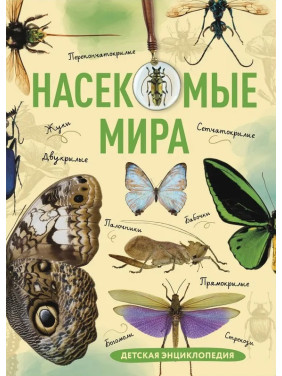 Комахи світу. Дитяча енциклопедія. Сочивко Андрій