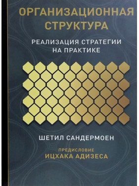 Організаційна структура. Реалізація стратегії практично. Шетіл Сандермоїн