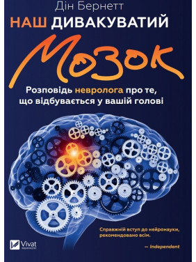 Наш странноватый мозг