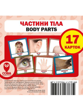Части тела