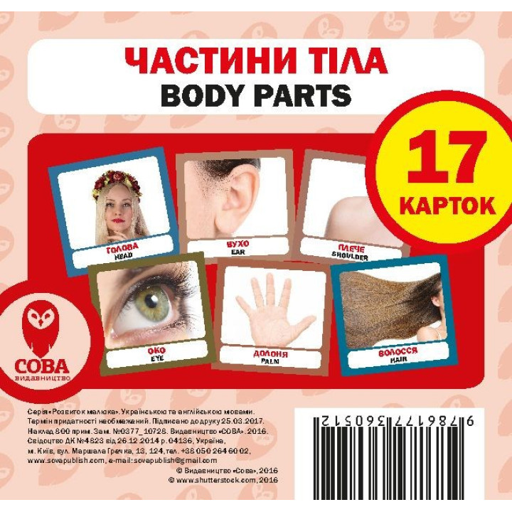Части тела