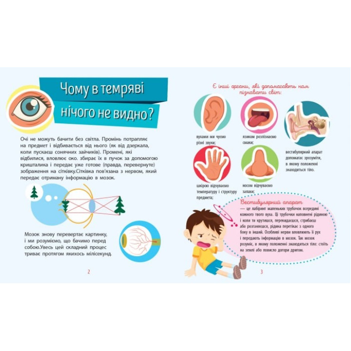 Чемусики: Человек