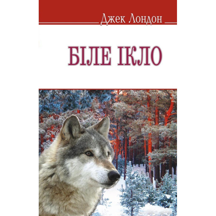 Белый Клык