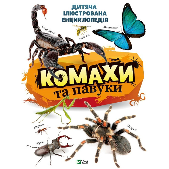 Насекомые и пауки