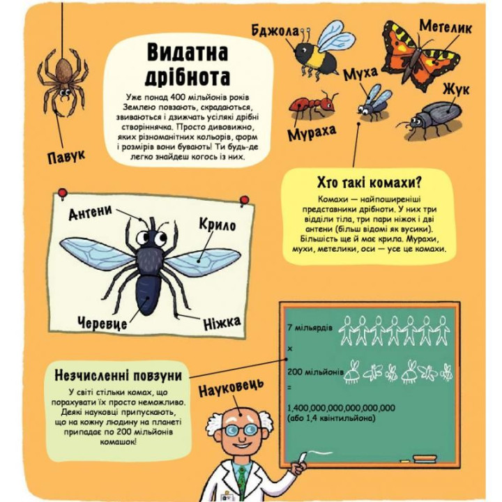 Маленькие исследователи.