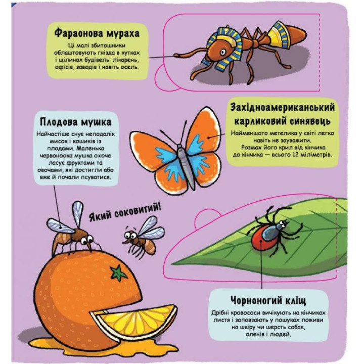 Маленькие исследователи.