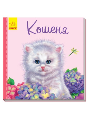 Милые зверьки: Котенок