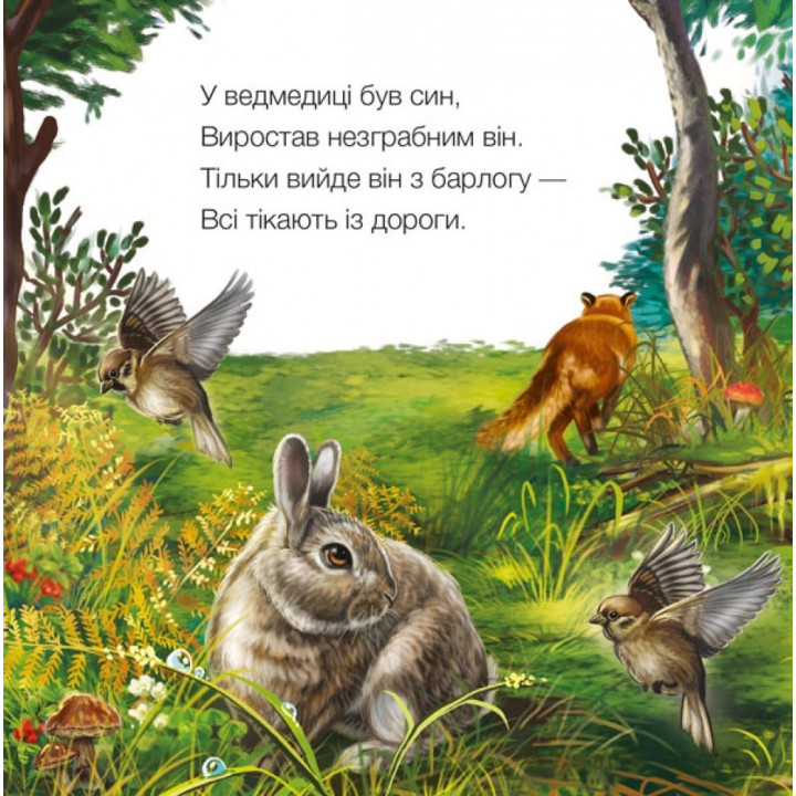 Милые зверюшки: Мишка