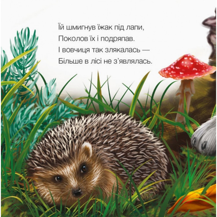 Милые зверьки: Ёжик