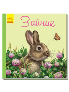 Милые зверьки: Зайка