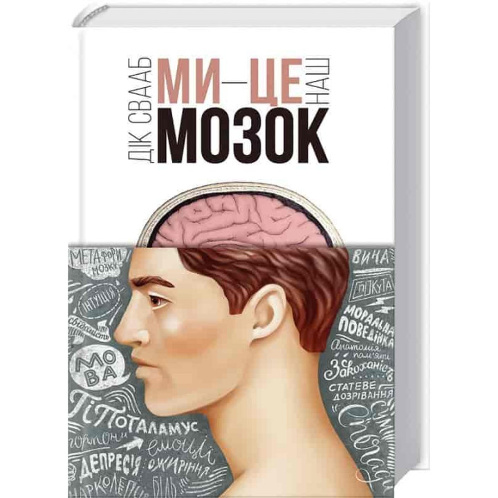 Мы – это наш мозг