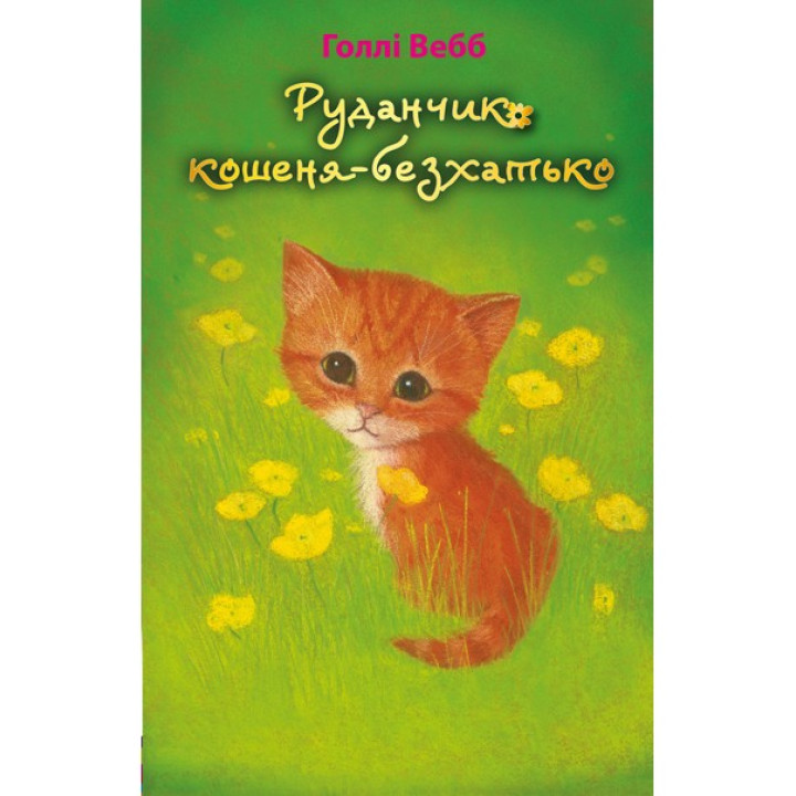 Руданчик — котенок-бездомный