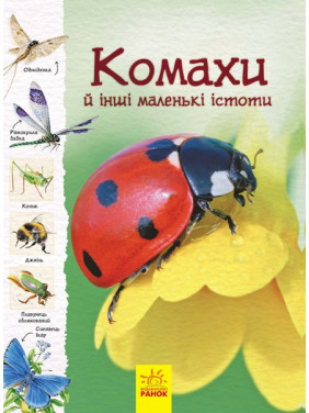Тропами природы: Насекомые и другие маленькие существа