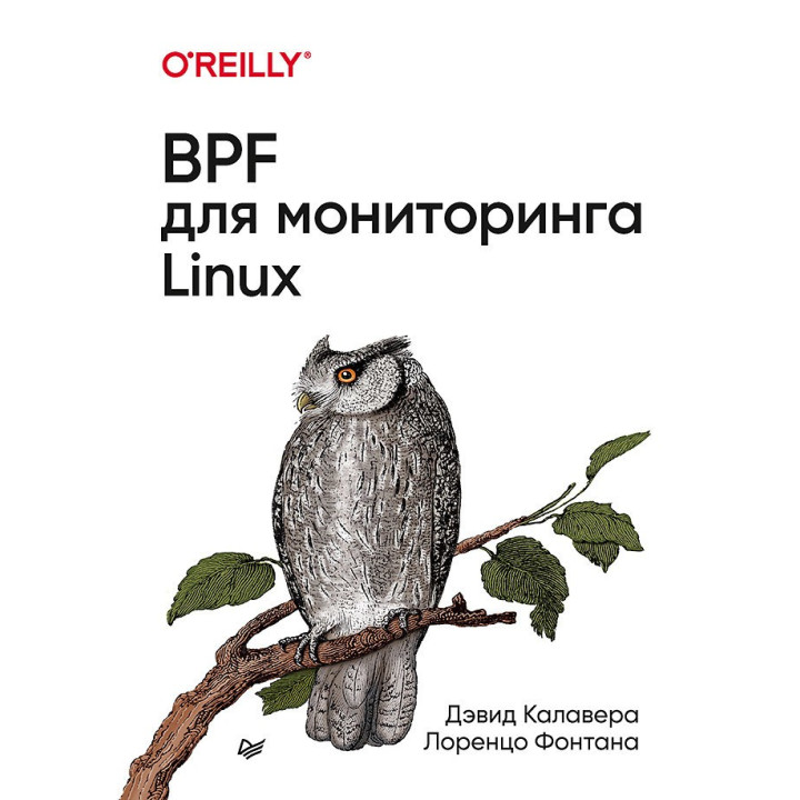 BPF для мониторинга Linux. Калавера Д., Фонтана Л.