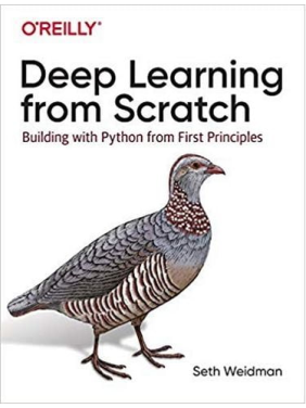 Deep Learning from Scratch: Building with Python from First Principles. Seth Weidman 