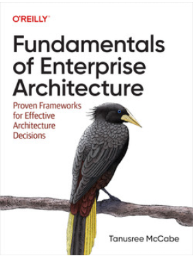Fundamentals of Enterprise Architecture. Tanu McCabe