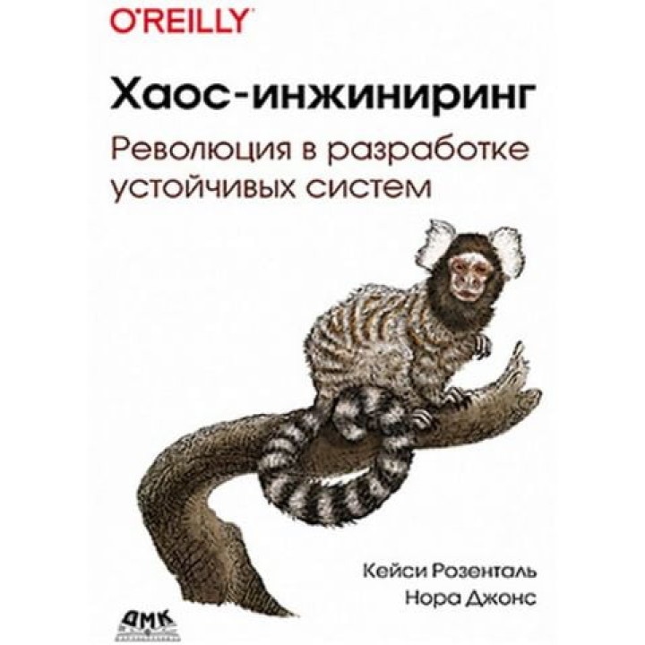 Хаос-інжиніринг. Кейсі Розенталь, Нора Джонс