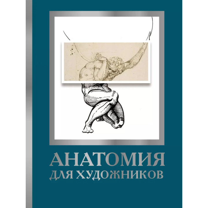 Анатомія для художників. Дженніфер Крауч