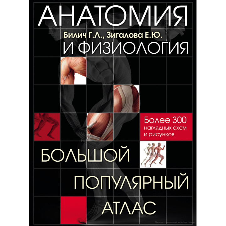 Анатомия и физиология. Большой популярный атлас. Габриэль Билич, Елена Зигалова