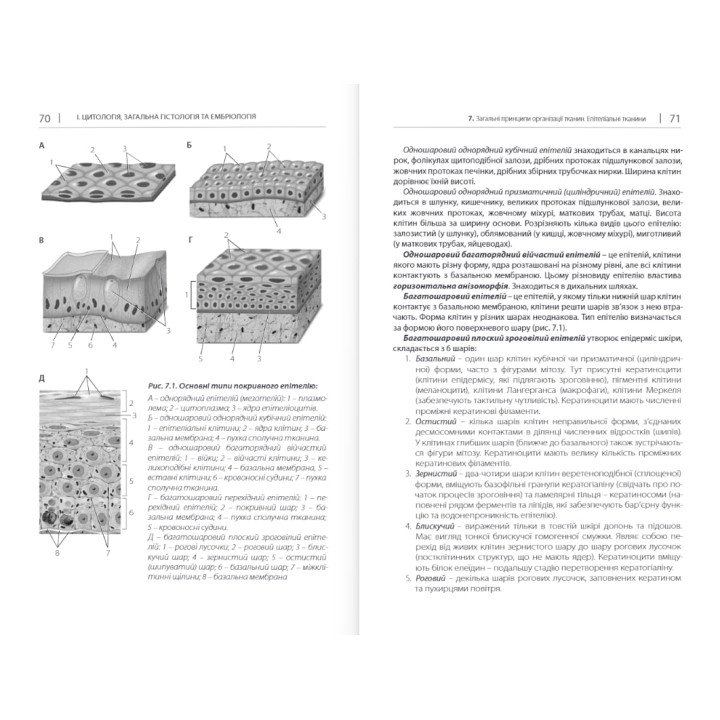 Гістологія. Короткий курс. 3-тє вид. Чайковський Ю. Б. 