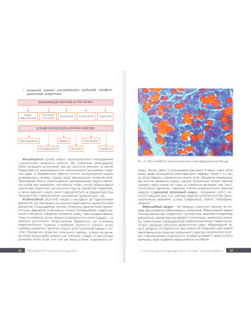 Патоморфологія. Загальна патоморфологія. Боднар Я. Я. та ін.