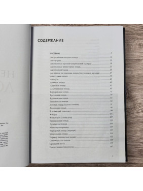 Неймовірні коні. Усе про найграціозніших і найсильніших істот на планеті. Наталя Франк