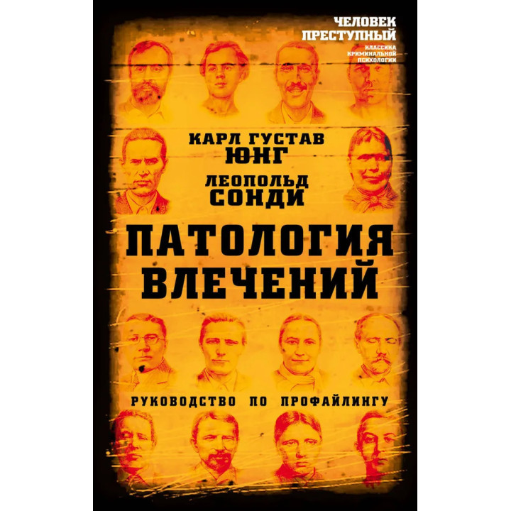 Патология влечений. Руководство по профайлингу. Карл Густав Юнг, Леопольд Сонди