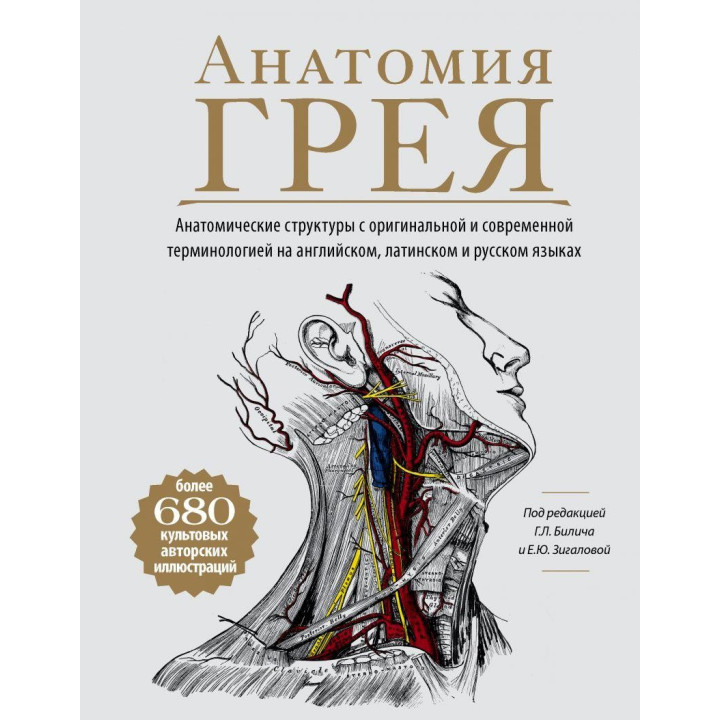 Анатомия Грея. Анатомические структуры с оригинальной и современной терми. Билич Г.Л., Зигалова Е.Ю.