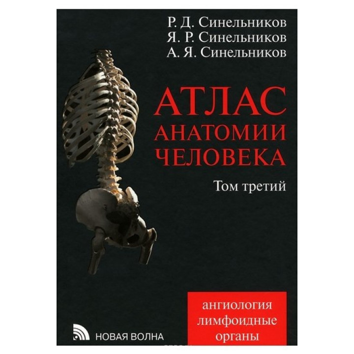 Атлас анатомії людини. В 4 томах. Том 3. Вчення про судинах та лімфоїдних органах. Синельников А. Ф.
