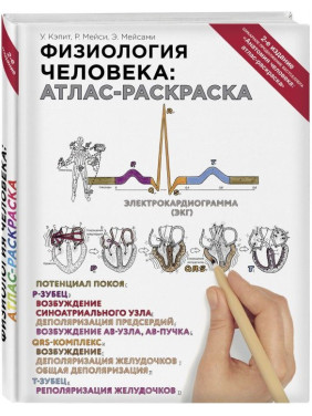 Физиология человека: атлас-раскраска. У. Кэпит, Р. Мейси, Э. Мейсами