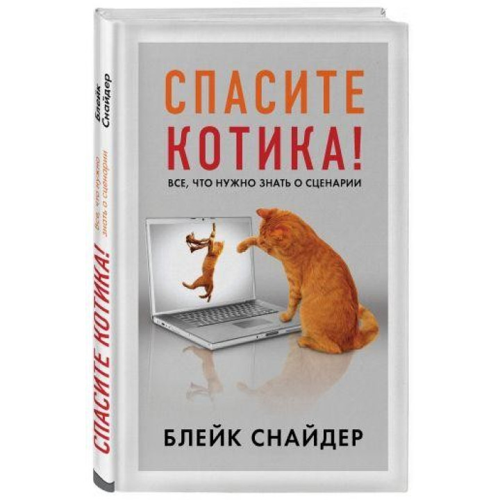 Спасите котика! Все, что нужно знать о сценарии. Блейк Снайдер