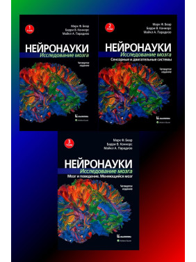 Нейронауки. Дослідження мозку. (комплект з 3 книг). Марк Ф. Беар Баррі У. Коннорс Майкл А. Парадізо