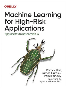 Machine Learning for High-Risk Applications: Approaches to Responsible AI 1st Edition. Patrick Hall, James Curtis, Parul Pandey
